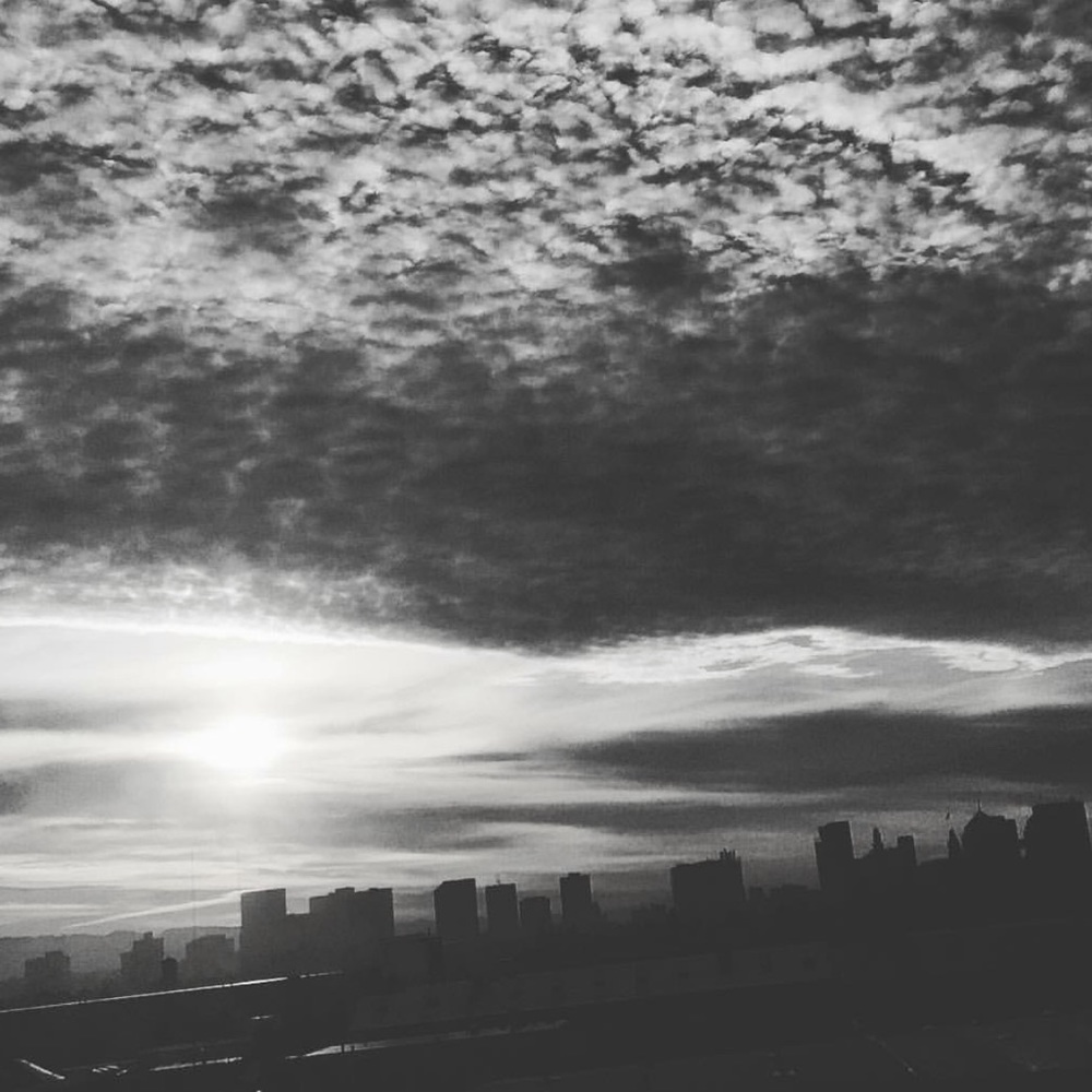 Meet your Posher, Bella